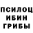 Галлюциногенные грибы GOLDEN TEACHER Jan Nelle