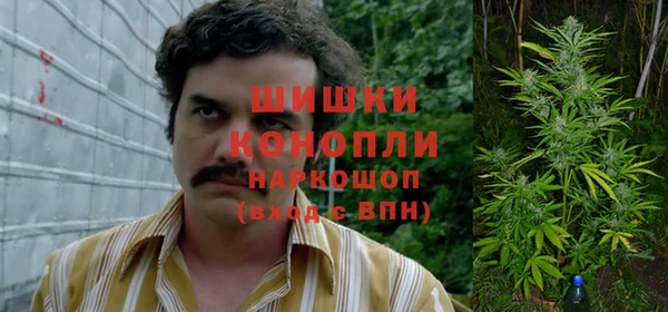 соль курить ск Ладушкин